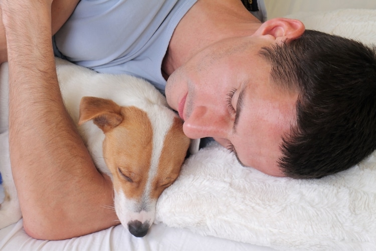 Explore os riscos de dormir com cão ou gato e tome decisões conscientes para garantir a saúde e o vínculo. Saiba mais agora!