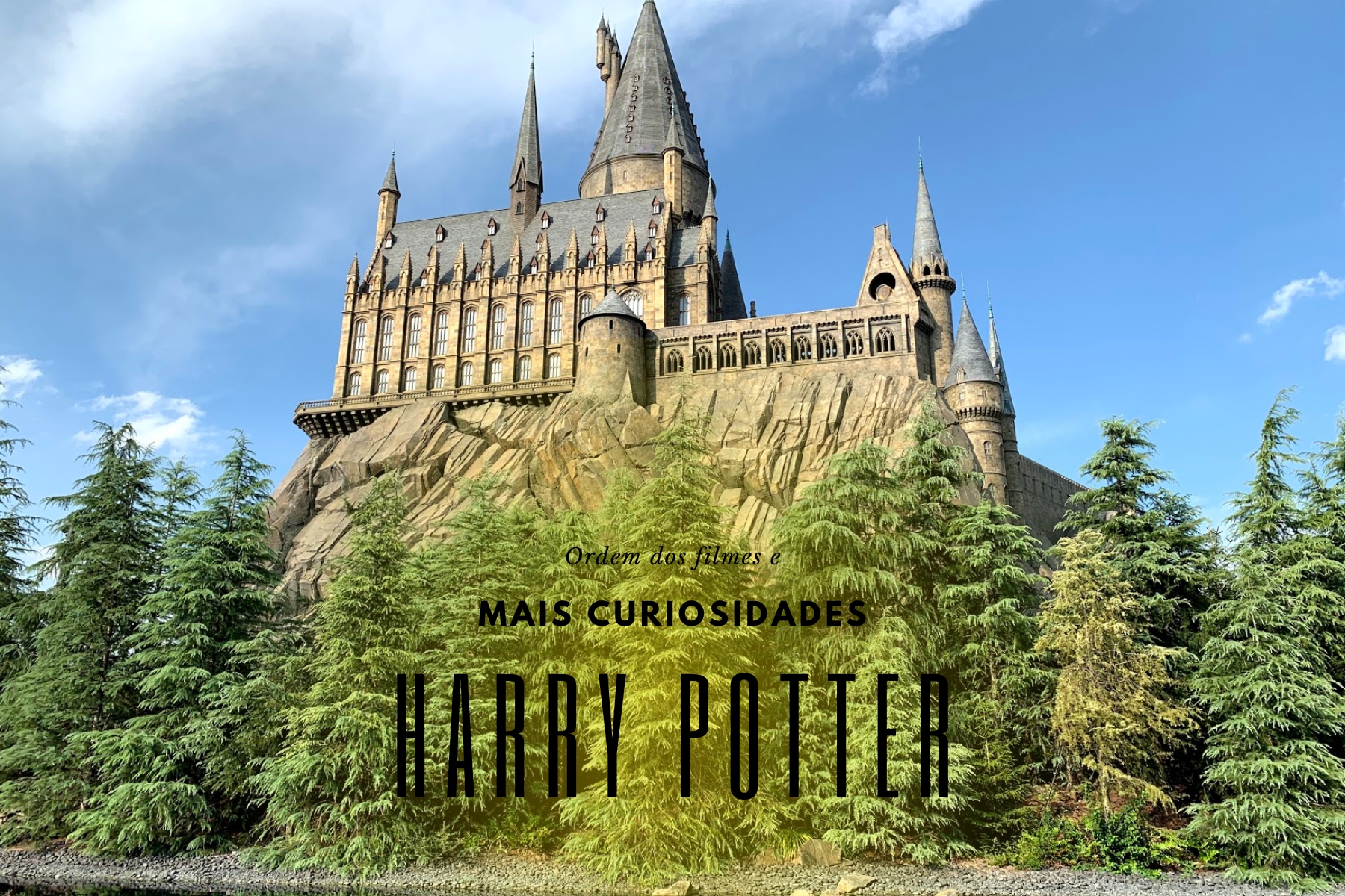 Descubra a ordem cronológica dos filmes Harry Potter e curiosidades fascinantes sobre a série mágica que conquistou o mundo.